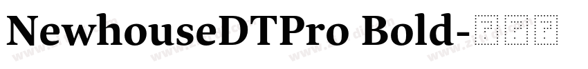 NewhouseDTPro Bold字体转换